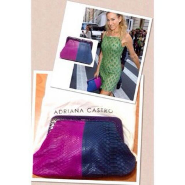 Eva Clutch in Python – Adriana Castro