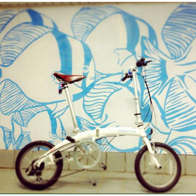 dahon c6