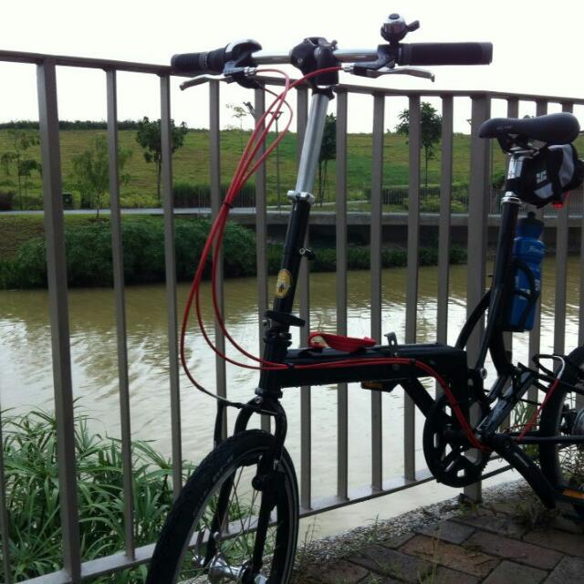 bike friday belt drive