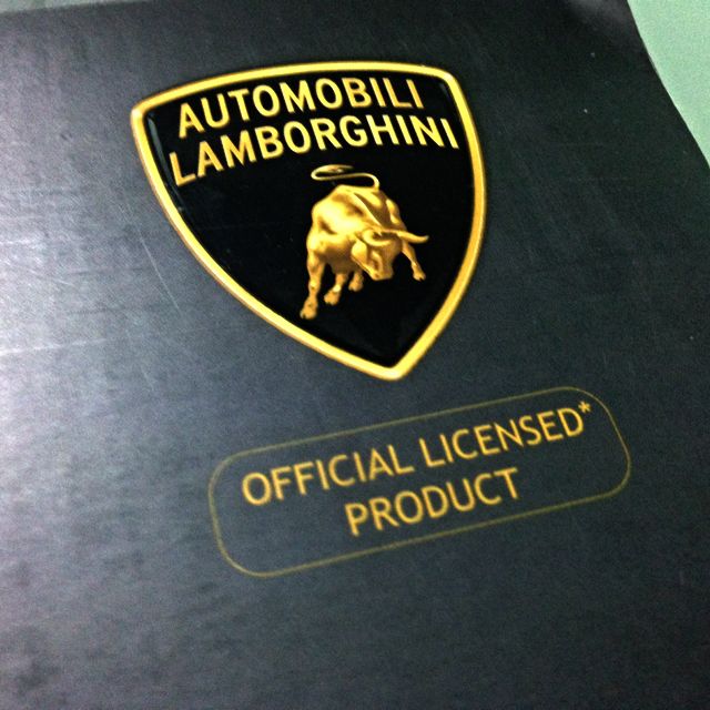 Official Gallardo Gaming Steering Wheel (New), Hobbies