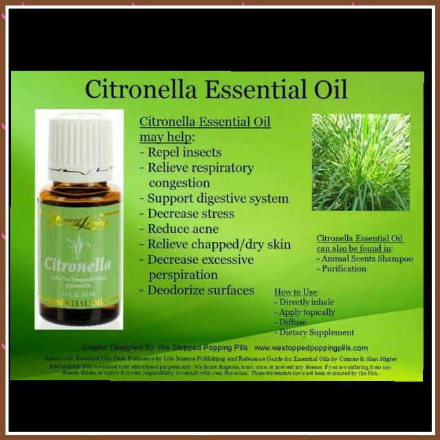 Young Living Citronella Essential Oil, Everything Else on Carousell