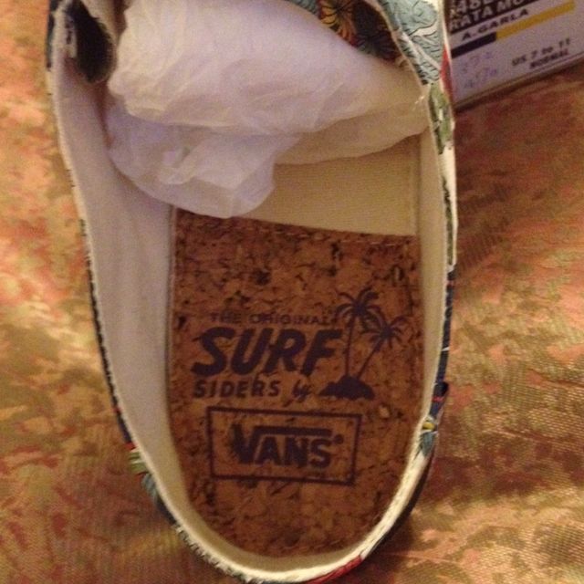 the original surf siders by vans