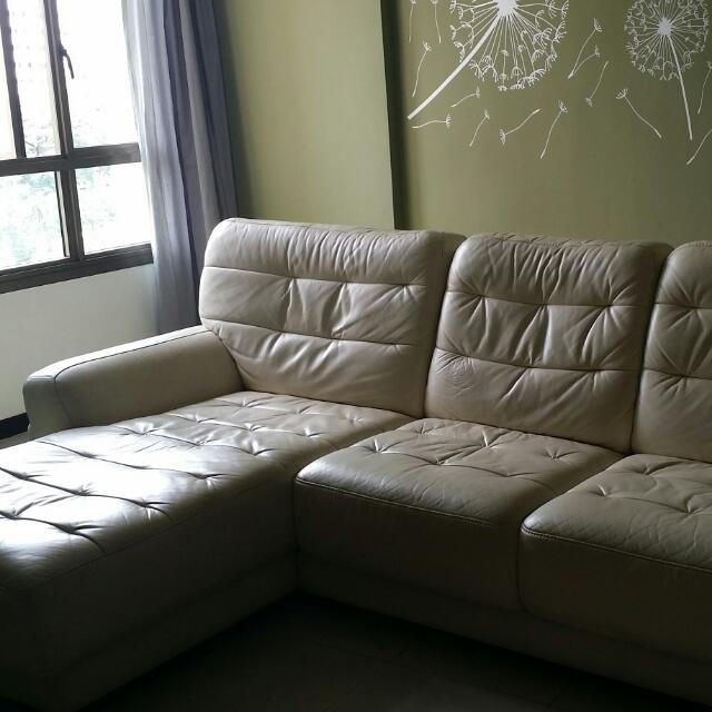 Seahorse L shape Sofa, Furniture & Home Living, Furniture, Sofas on Carousell