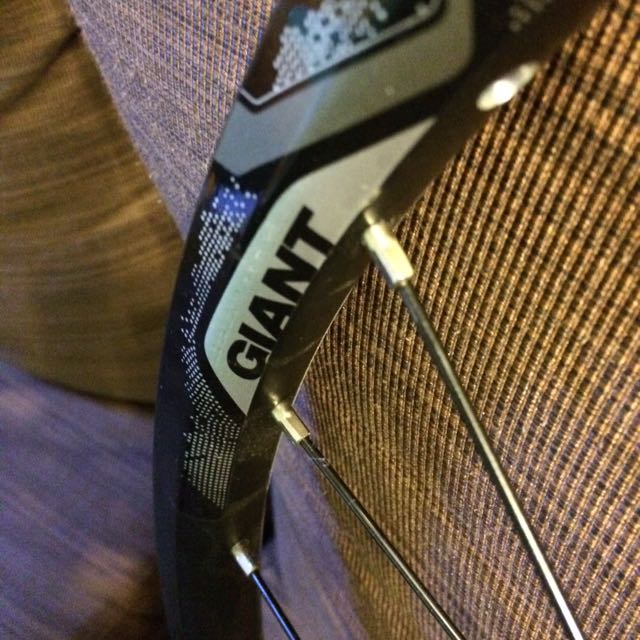 Alloy double wall rims laced to Giant Tracker Sport hubs with stainless spokes