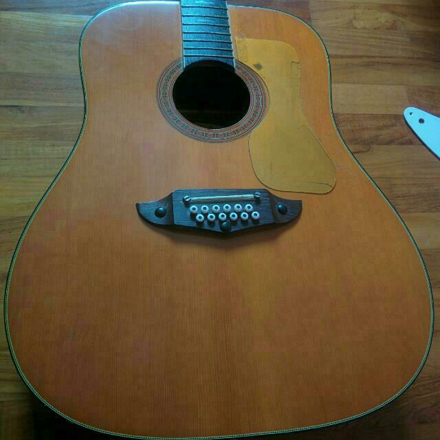 Eko rio bravo 12 string guitar discount