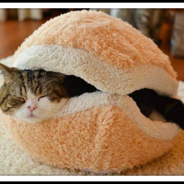 cat clam bed
