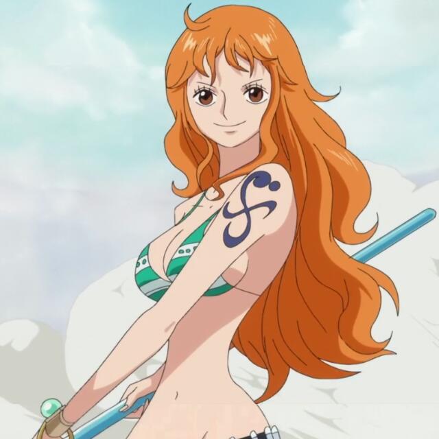 One Piece Nami TYL Bra/Top Cosplay, Hobbies & Toys, Memorabilia