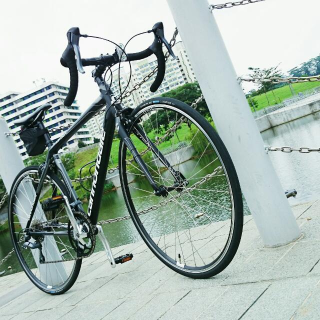 CANNONDALE SYNAPSE 8 CLARIS 2014 ROAD BIKE Everything Else on