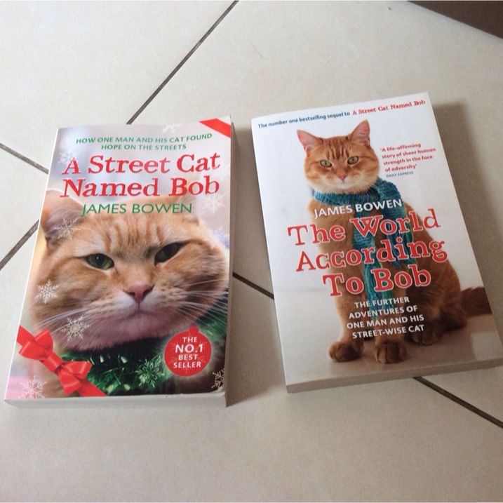 Pending A Street Cat Named Bob The World According To Bob
