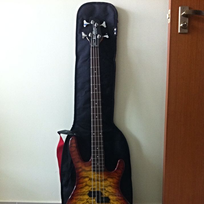 Washburn Bantam XB100 Bass Guitar, Hobbies & Toys, Music & Media