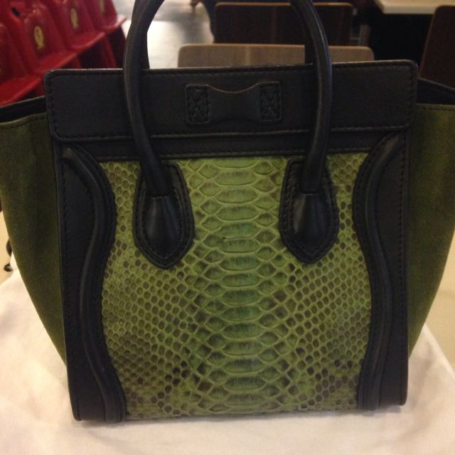 Celine python bag price cheap