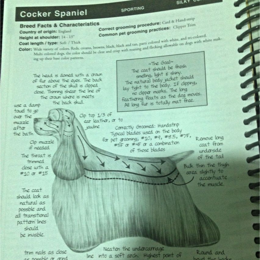 Notes from the store grooming table used