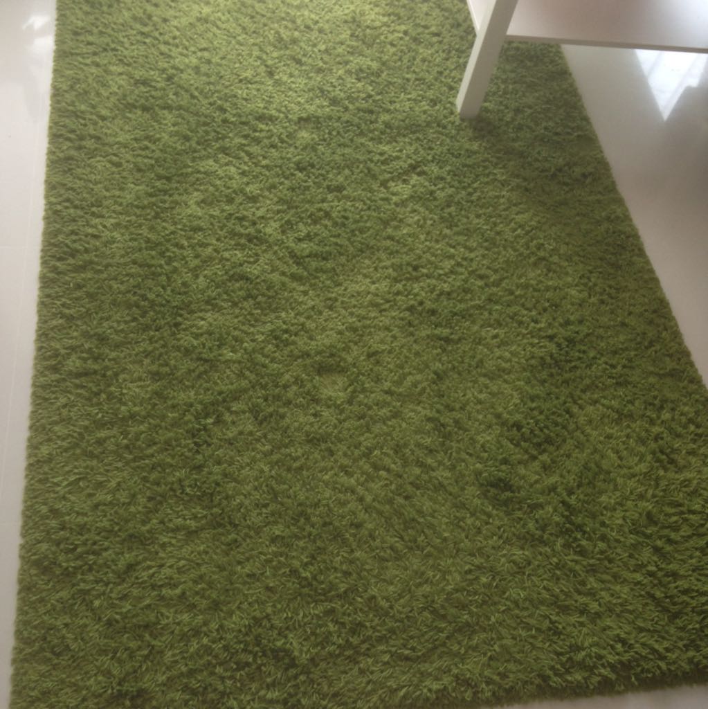 Big green carpet/rug, Furniture & Home Living, Home Decor, Carpets