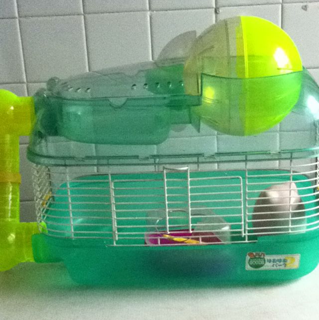 Green Hamster Cage With Hamster Ball Pet Supplies Homes Other