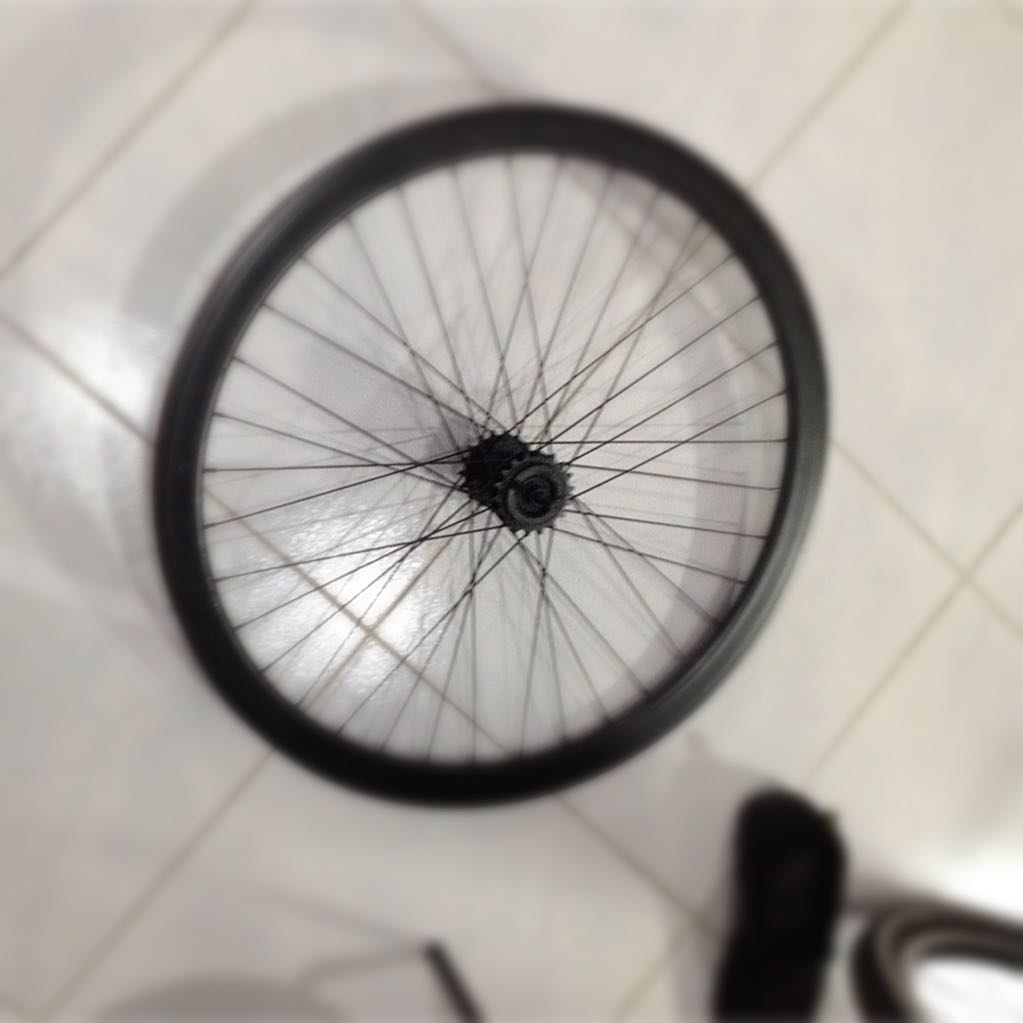 fixie sport rim