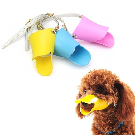 Beak muzzle cheap