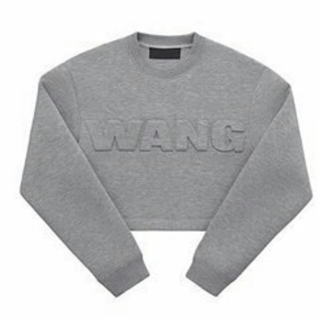 Alexander wang h&m scuba sweatshirt online