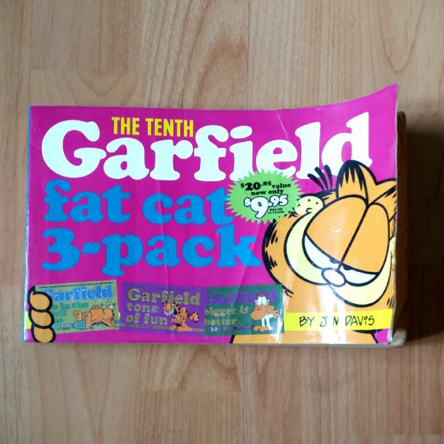 The Tenth Garfield Fat Cat 3 Pack Books Stationery On Carousell
