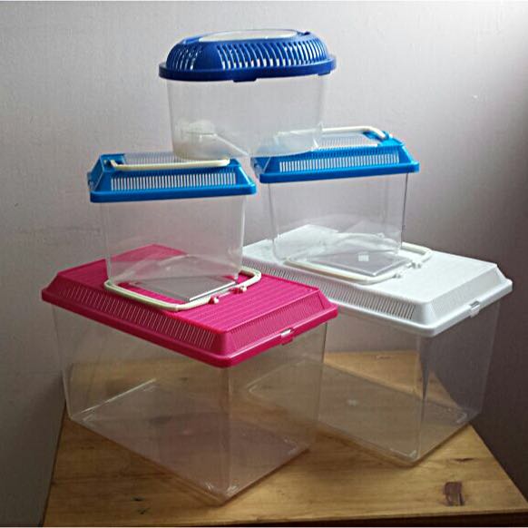 turtle plastic tank