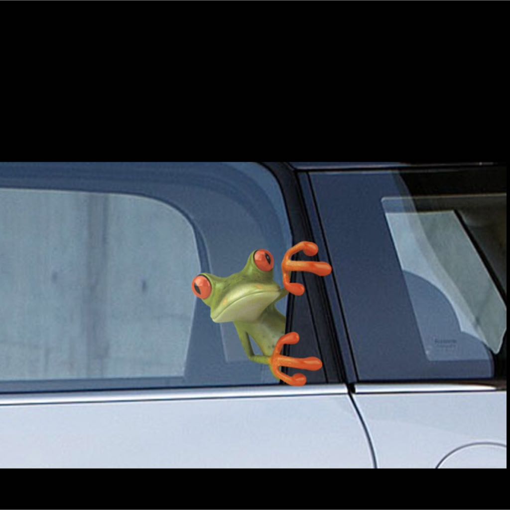 Cute Frog Stickers To Decorate Your Car Not Seen On Singapore