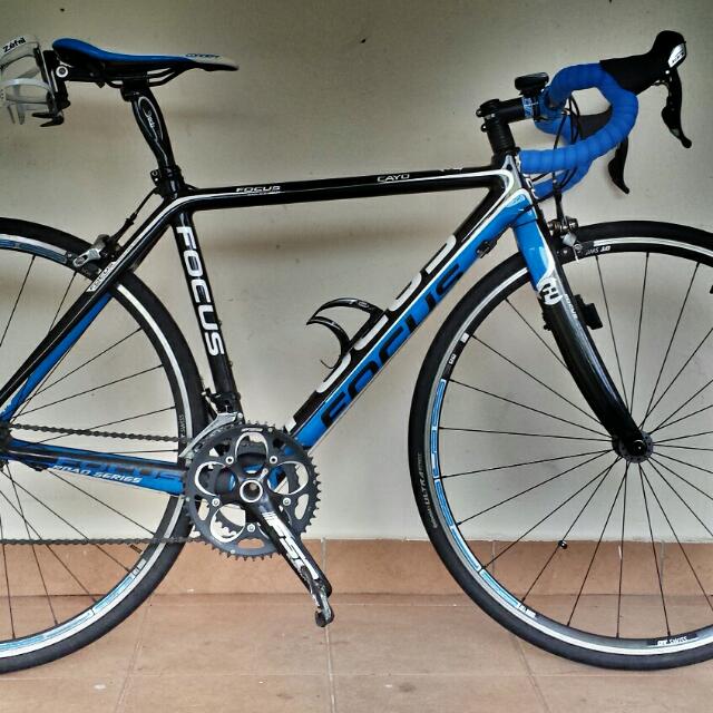 Focus cayo for sale deals