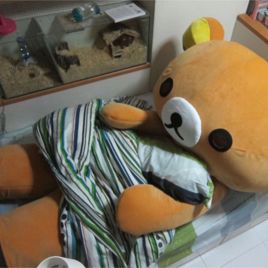 Rilakkuma Bear Mascot Costume Suit Full Body Life Sized, Hobbies & Toys