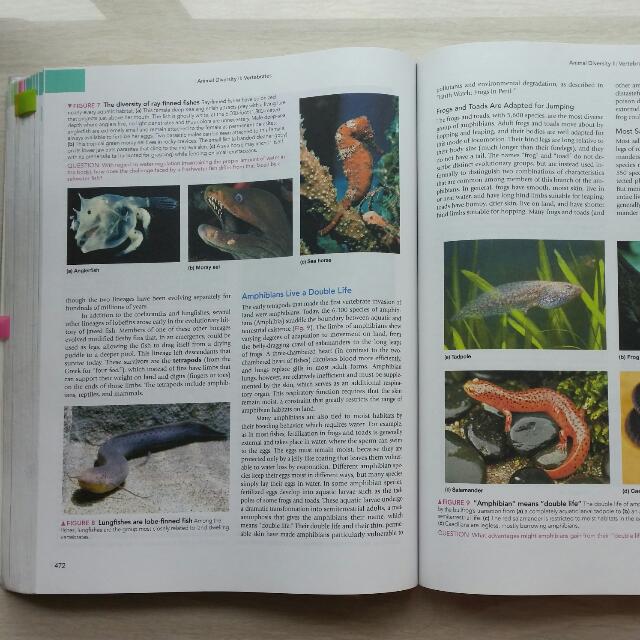 Lsm1301 Life On Earth With Physiology 10th Edition Books