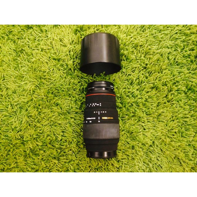 Sigma 70 300mm F4 5 6 Apo Dg Macro Photography On Carousell Sigma 70 300mm F4 5 6 Apo Dg Macro Photography On Carousell