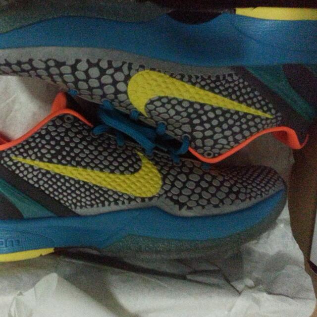 kobe 6 glass blue