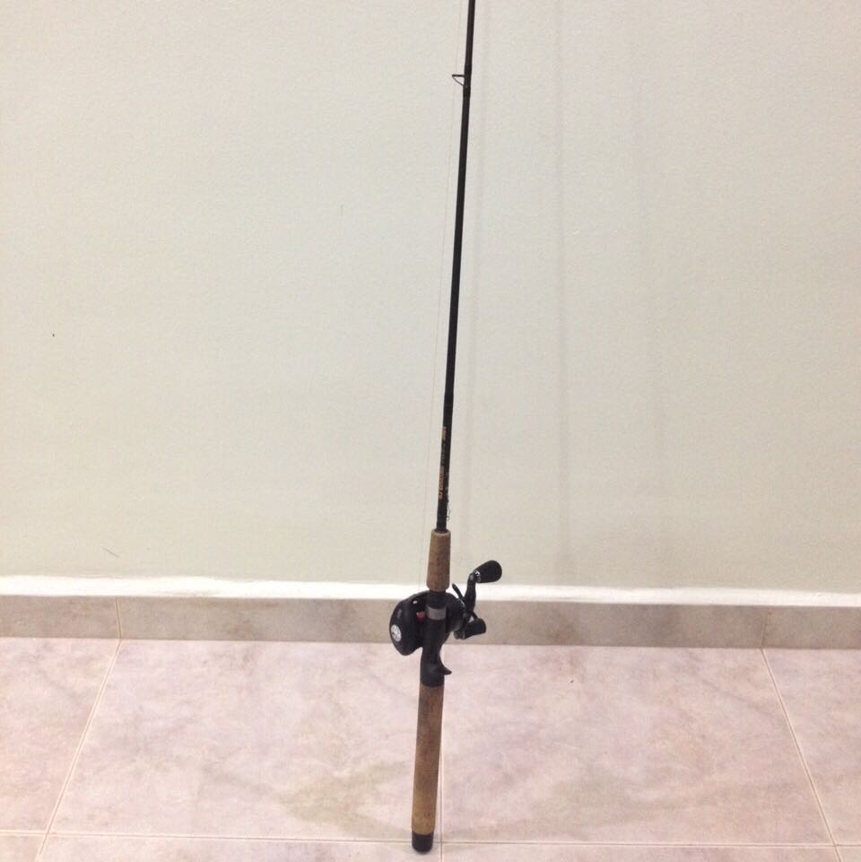 10ft Telescopic Fishing Rod & Reel, Sports Equipment, Fishing on Carousell