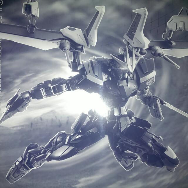 Gundam Astray Noir Mg Black Bandai Limited Edition Hobbies Toys Toys Games On Carousell