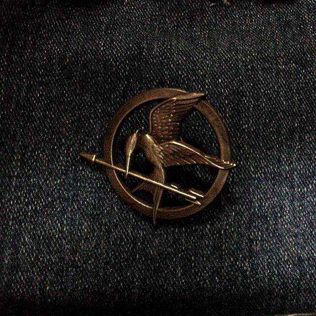 Hunger Games Mockingjay Brooch, Hobbies & Toys, Toys & Games on Carousell