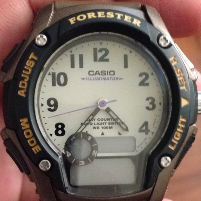 Casio illuminator forester sales