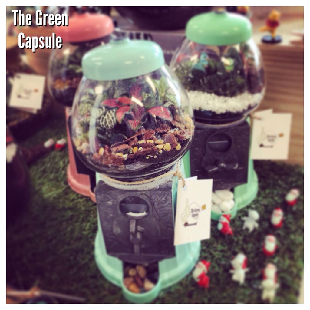 Gumball Terrarium, Furniture & Home Living, Home Decor, Other Home