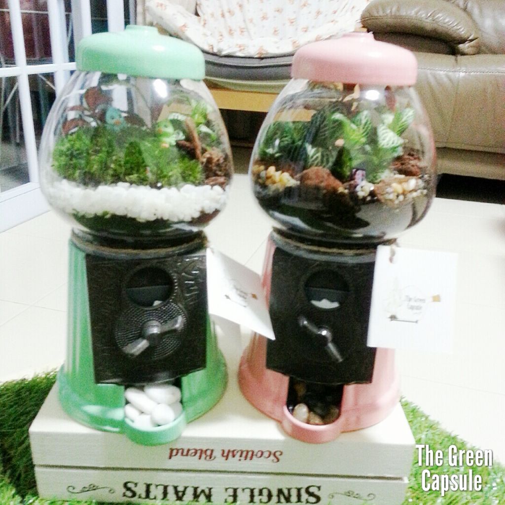 Gumball Terrarium, Furniture & Home Living, Home Decor, Other Home