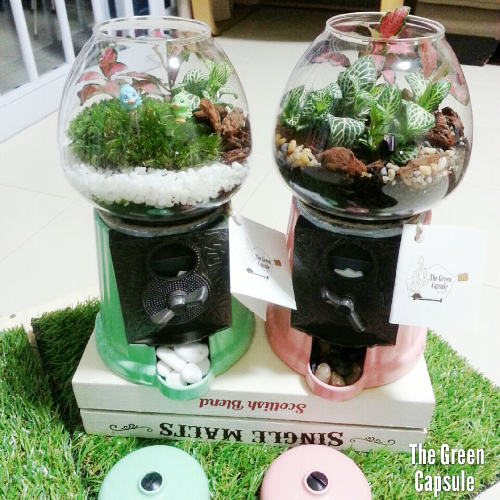 Gumball Terrarium, Furniture & Home Living, Home Decor, Other Home
