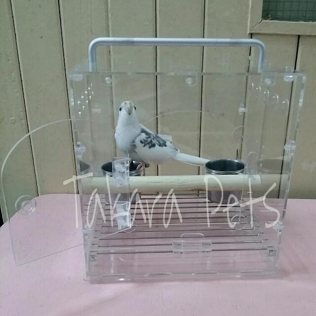 Acrylic bird deals carrier