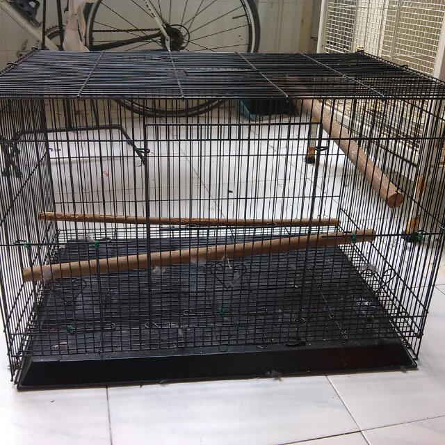 buy bird cage