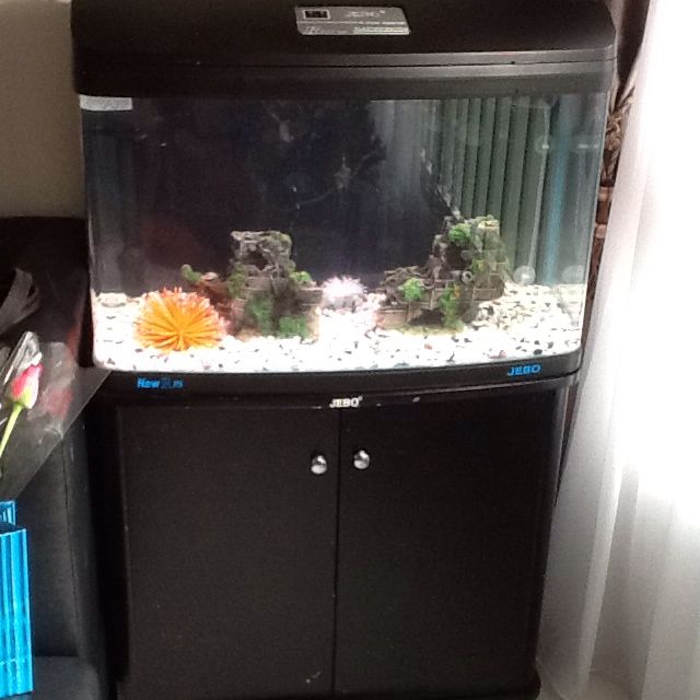120 litre fish tank