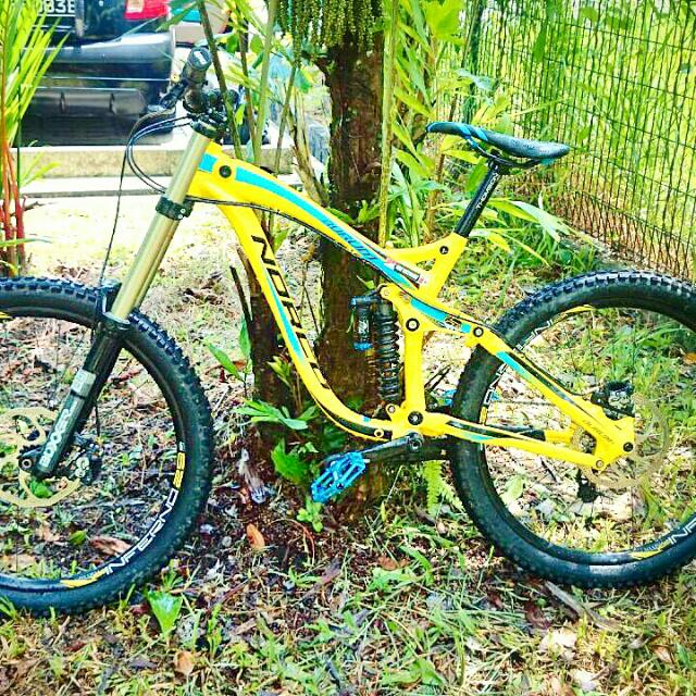 norco aurum 1 2012