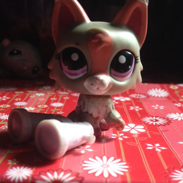 Lps wolf cat numbers hot sale