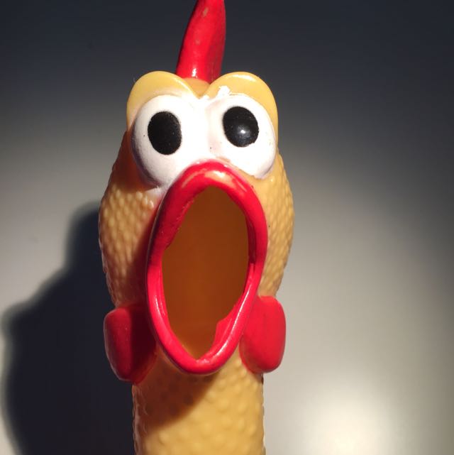 annoying chicken toy