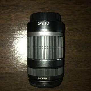 Canon 55-250mm Lens