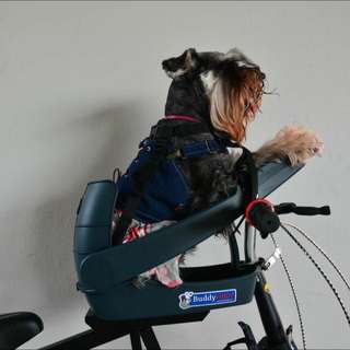 buddyrider pet seat