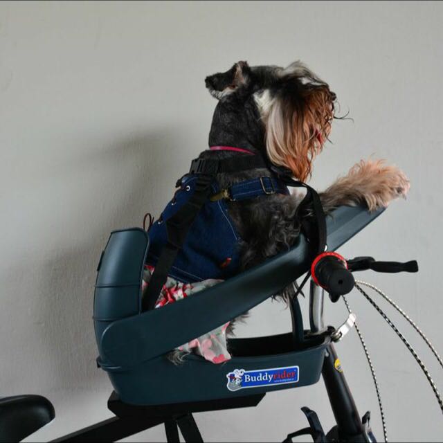BNIB Buddyrider Bicycle Seat For Dog, Pet Supplies, Homes & Other Pet Accessories on Carousell