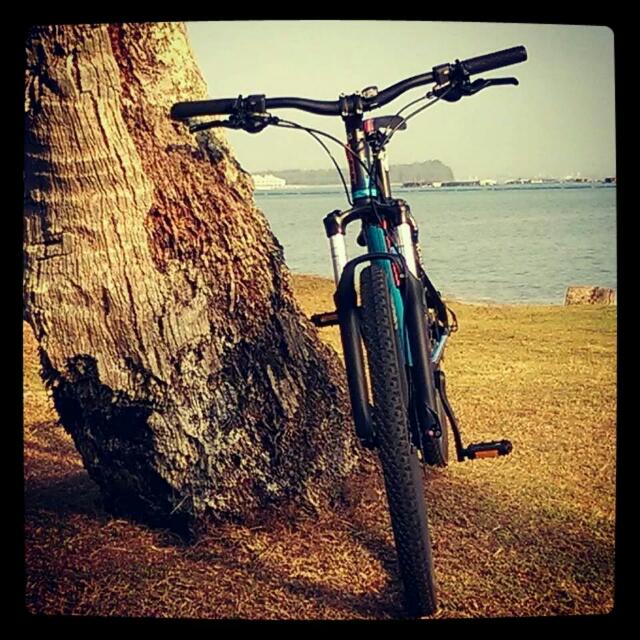 Gt avalanche cheap 2014