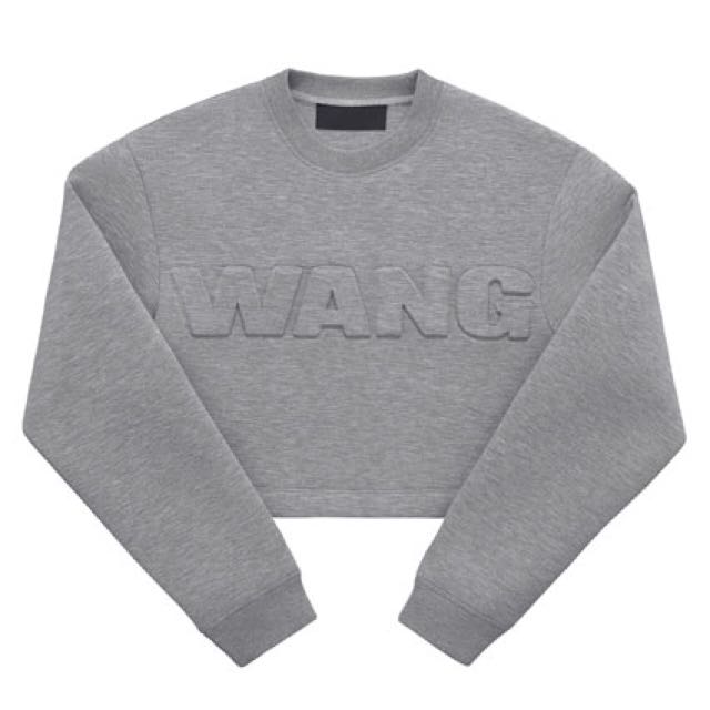 Alexander wang h&m scuba sweatshirt outlet