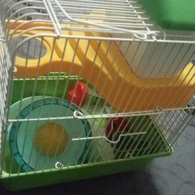 2nd hand hamster shop cage