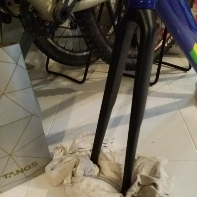 alpina carbon fork