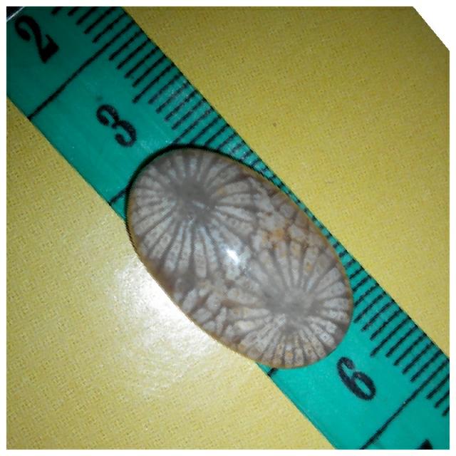 Batu akik agate new arrivals